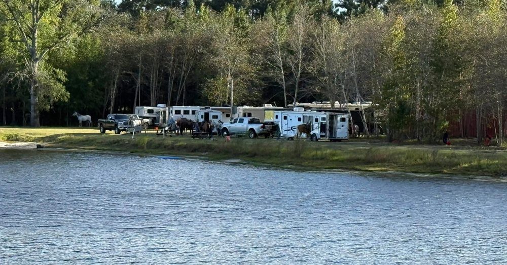 Campers, trailers and horses set up along the lakeshore