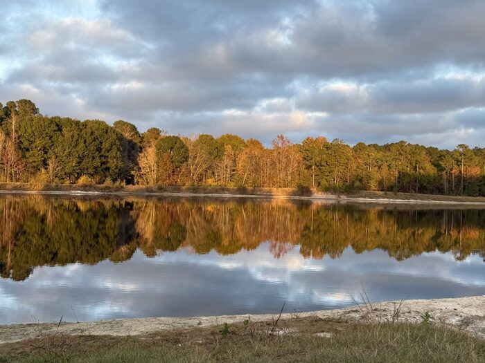 The lake at golden hour with the treeline reflected in still water
